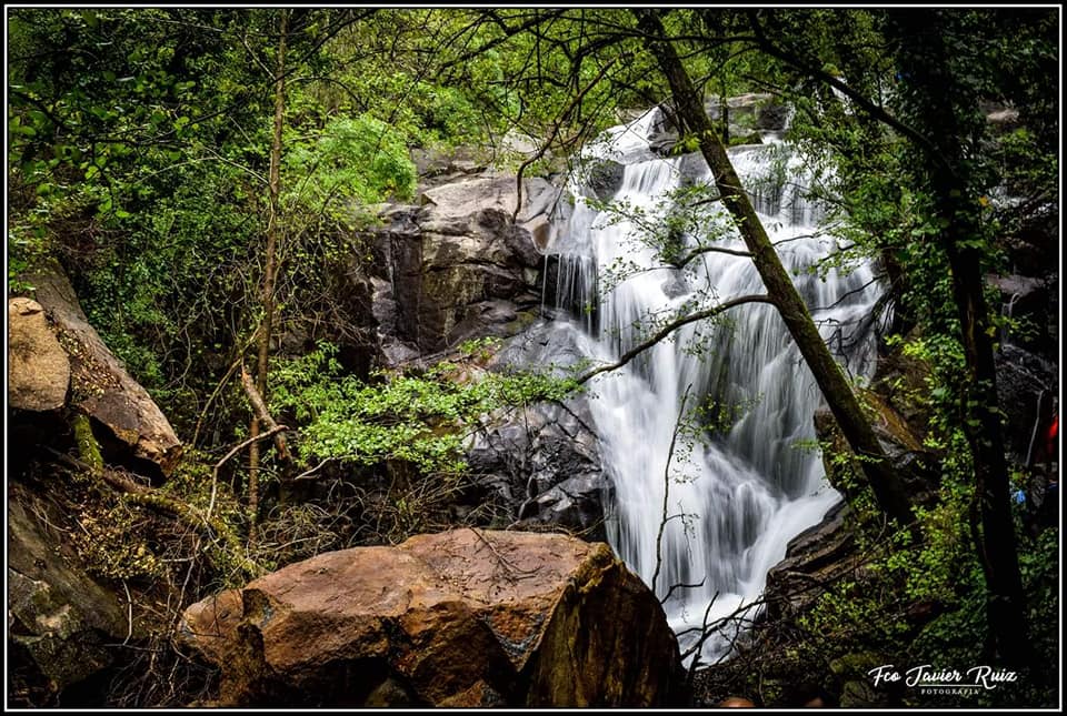 Foto Diaria Extremadura tweet media