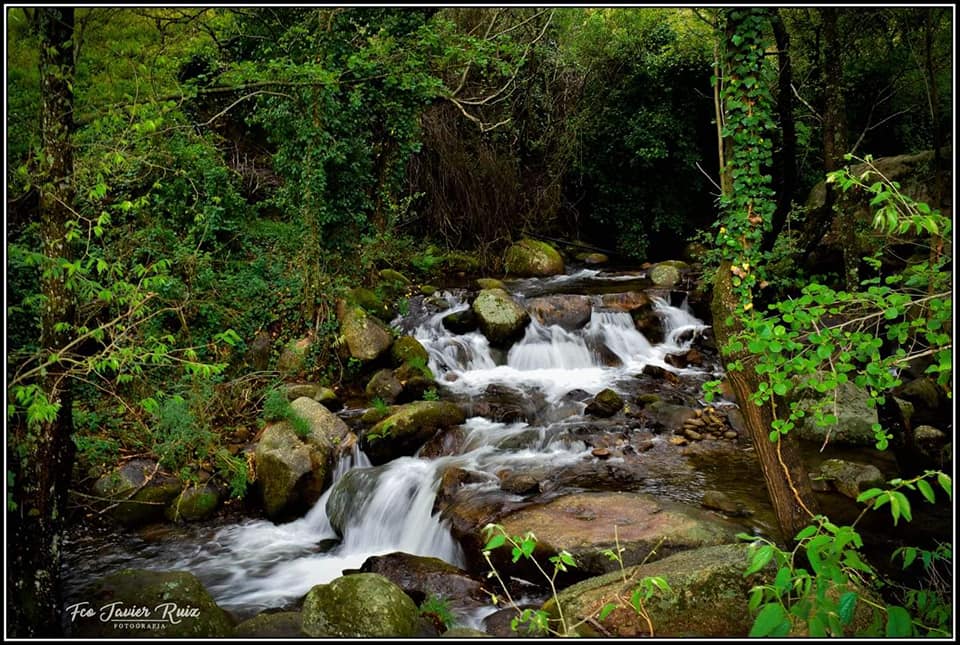 Foto Diaria Extremadura tweet media