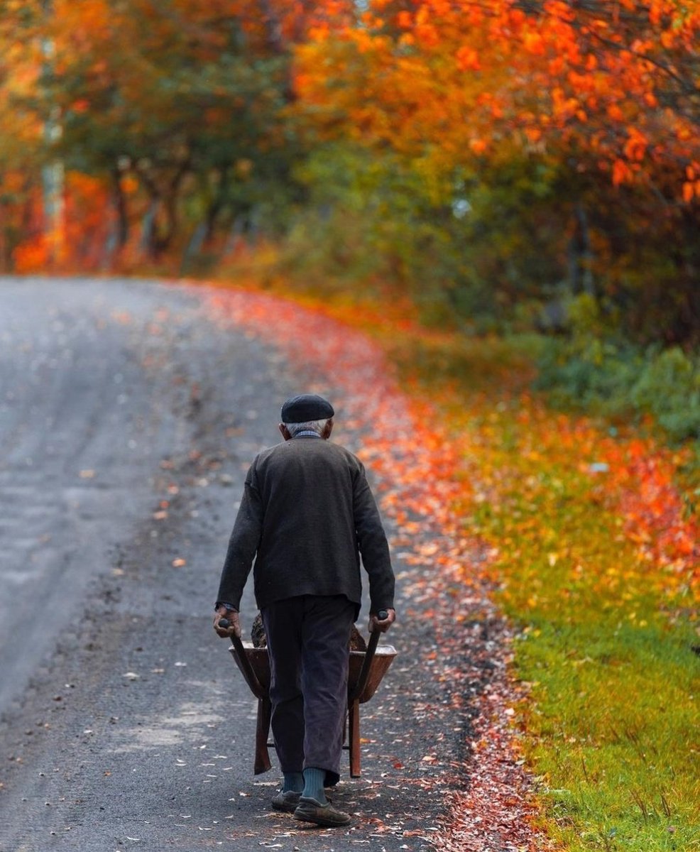 Bir günah işlediğinde hemen tövbe et. İnsan suya düştüğü için değil, sudan çıkamadığı için boğulur. 

- Mevlana