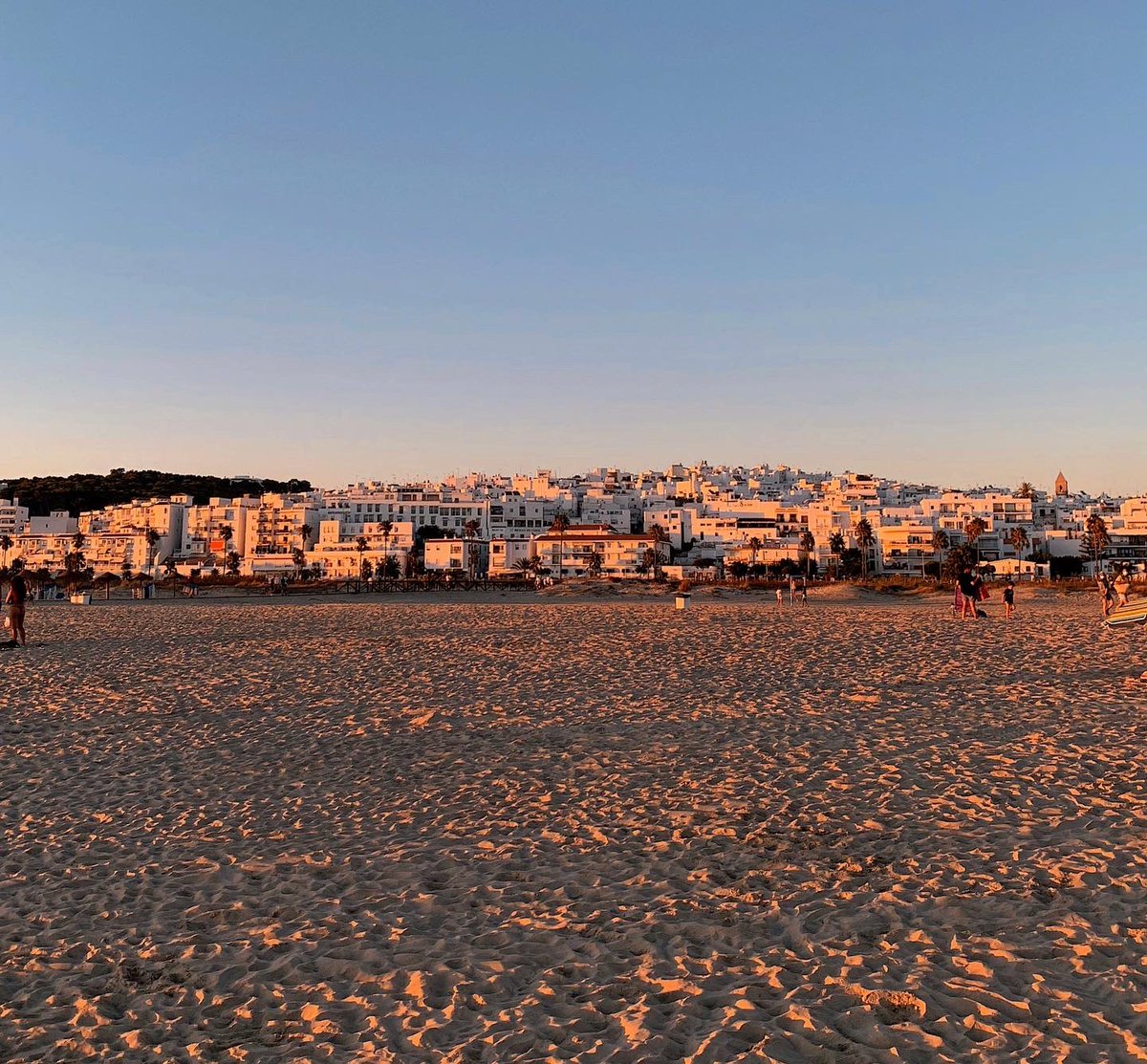 Victorescobar44's tweet photo. Opacarofilia 🌅 https://t.co/52mia7C2vi