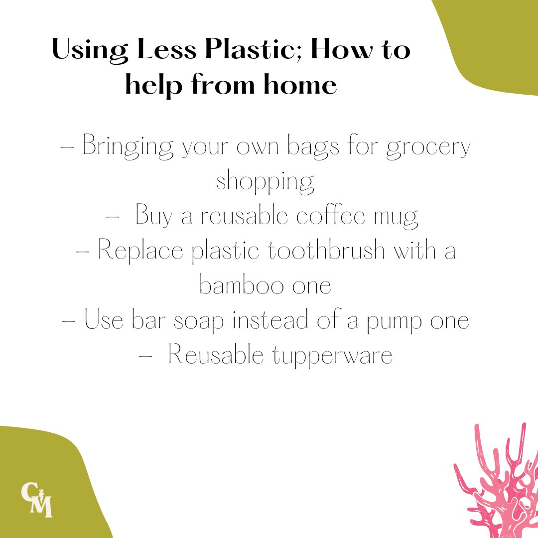 CityCarrot's tweet photo. As National Marine Week begins, head over to our instagram to see all of our tips and tricks on how one can contribute from both the comfort of your own home and in-person https://t.co/KxBWVtdW2Z