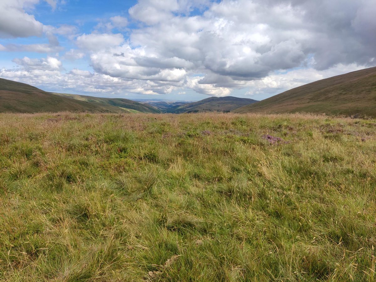 NlandRangers's tweet photo. Lovely day up on the #BorderRidge today. Called into Auchope Shelter, to give it a quick tidy up and replace the #visitor #book. #CollegeValley #PennineWay #views #blueskies @NlandNP https://t.co/XkZuL0Edlt