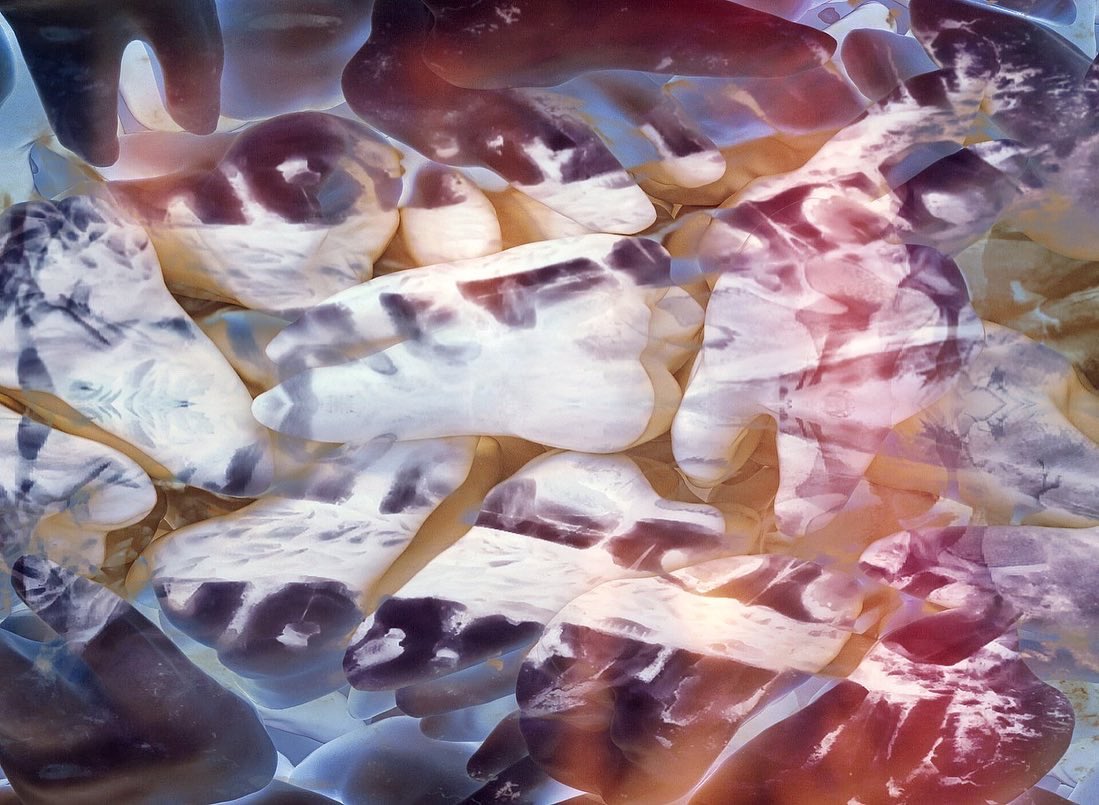 haydensferryrev's tweet image. “Tooth Ache” by Karen Boissonneault-Gauthier (@KBG_Tweets) from Off Season, our online summer art issue. haydensferryreview.com/two-works-by-k…