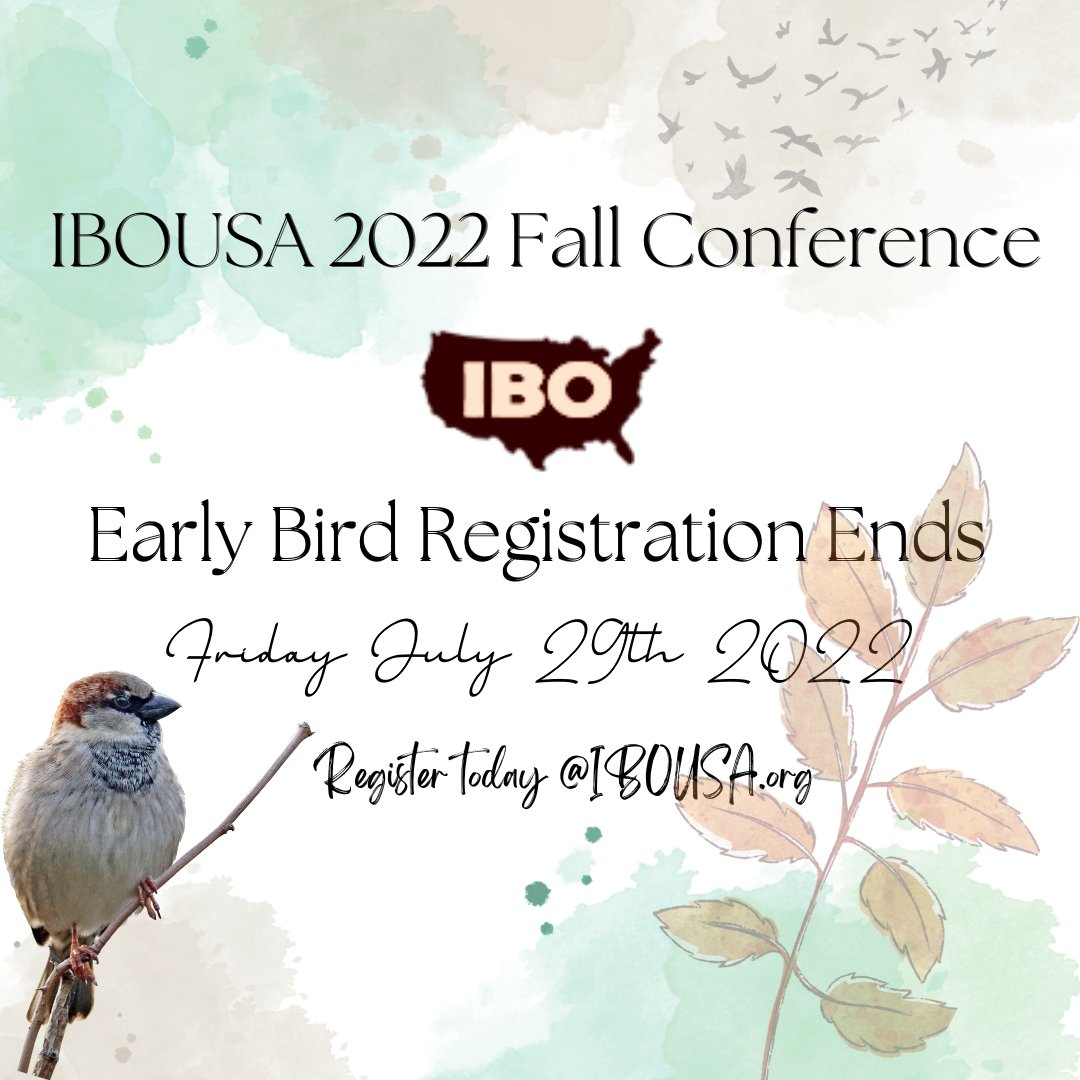 Early Bird Registration is ending Friday 7.29!
Get registered today at a discounted rate before this
deal flies away🕊
Register now @ ibousa.org