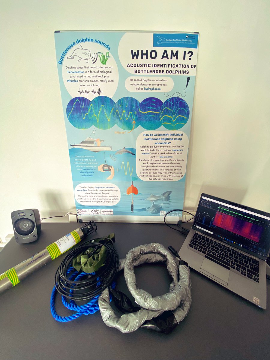 _laurapalmer93's tweet photo. Great chatting with everyone about our #CardiganBay acoustics research at the @CBMWC #SentinelsOfTheSea event ๐ค๐ฌ https://t.co/pKljCas26P
