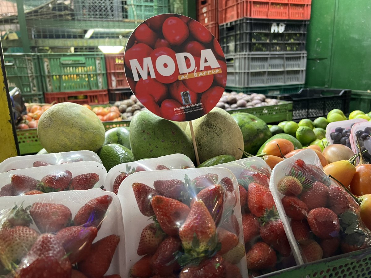 Telemedellin's tweet image. #TMEsModa 🔴 Estamos ((AL AIRE)) con la transmisión especial #ModaAlBarrio llega a la Minorista✂️🥻👖.

¡Conéctate y participa!

➡️ youtu.be/tQzzIF4h3co