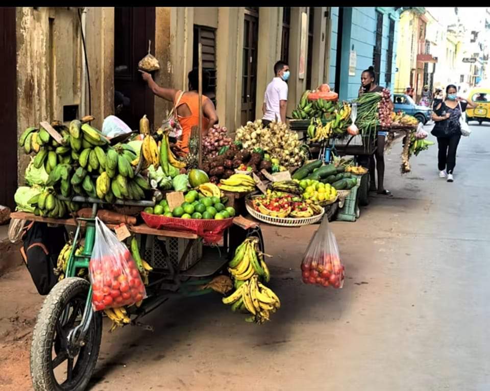 La formación continua debe ser un sistema que abarque a todos los trabajadores (no sólo universitarios) de la sociedad para mejorar su profesionalidad a lo largo de sus vidas como condición básica para promover el desarrollo económico y social.
@MartaEFeito 
<a href="/DiazCanelB/">Miguel Díaz-Canel Bermúdez</a>