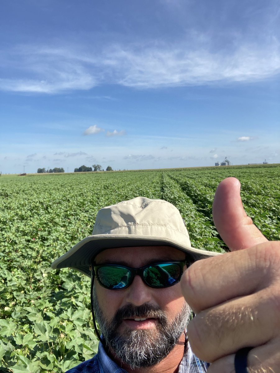 Christopher Whatley tweet media