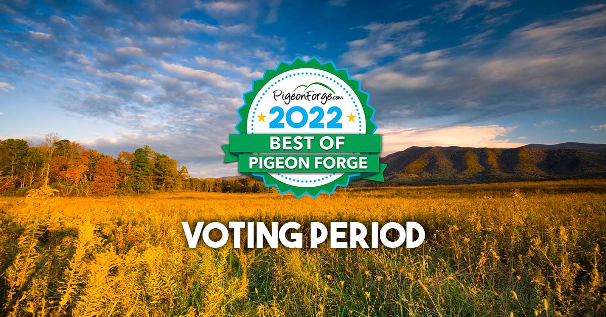 It is the last week to vote in Pigeon Forge Best of 2022!
Cast your ballot before it is too late! 

pigeonforge.com/vote/
