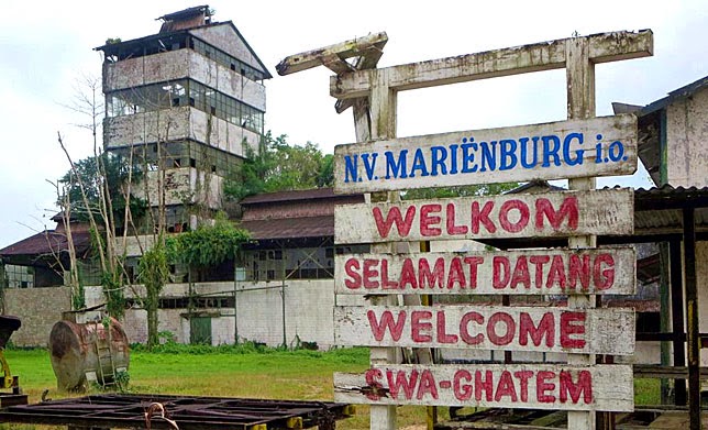 MScMultilingualism tweet media