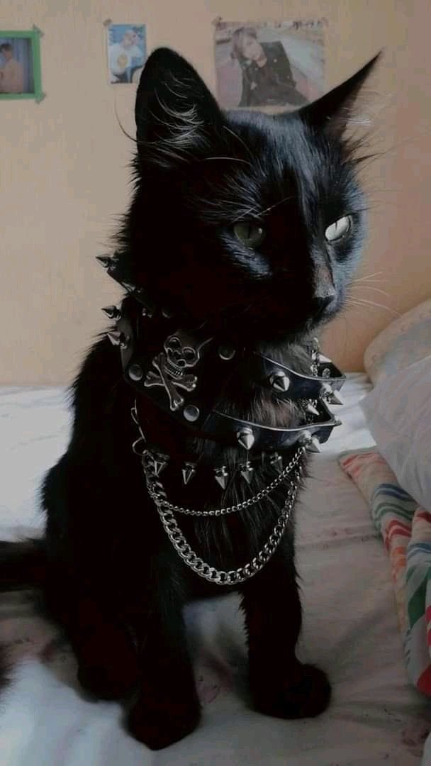 welcome to hot topic, leave me alone