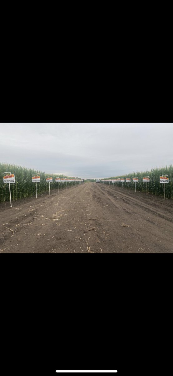 We would be remiss if we didn’t give a shout out to <a href="/IllinoisCropSci/">Crop Sciences</a> for a beautiful spot to host a <a href="/Asgrow_DEKALB/">DEKALB Asgrow Seed</a> training!