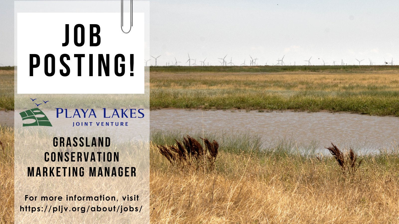 High Plains UWCD on Twitter "Playa Lakes Joint Venture is hiring a