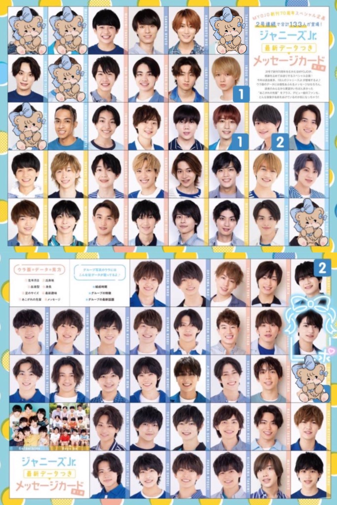 ジャニーズ データカード 厚紙カード デビュー組、Jr ジャニーズ