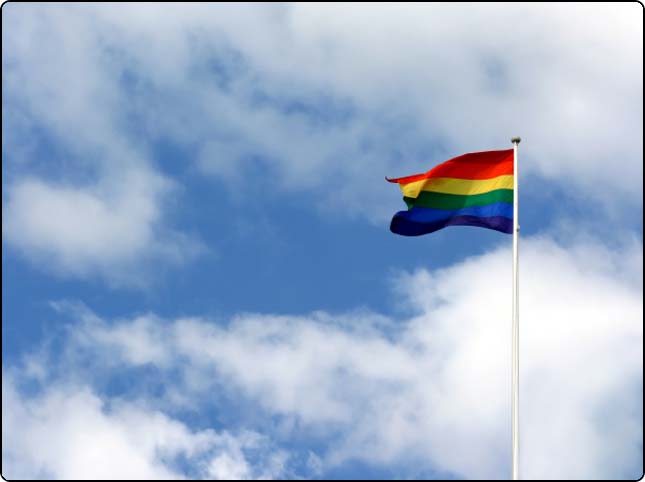 Gay Chat Zone tweet media