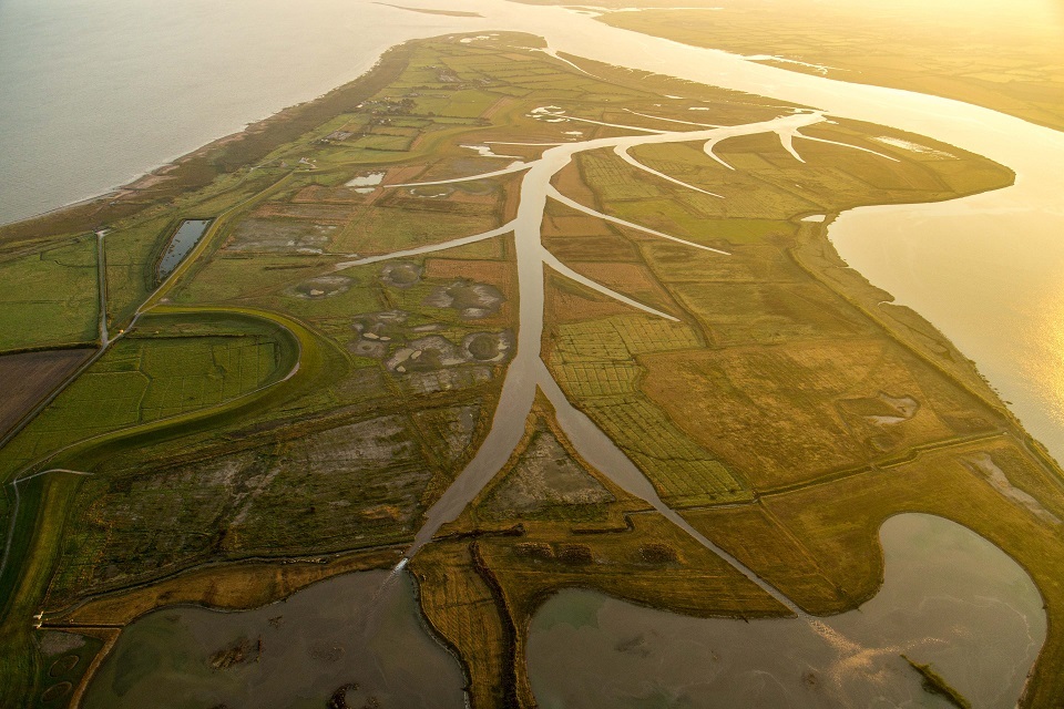 thenelsonway's tweet photo. Come work with us! We've got an opening for an Advisor to focus on natural capital in estuarine and coastal habitats.

If you're into the brackish and the briny and want to play a key role in the development of a major new programme, give it a look!

https://t.co/Xrv7P7ftsi https://t.co/g5JHNjgB3x