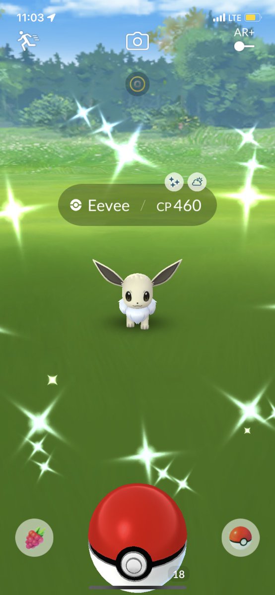 SHCrook's tweet image. Today has been productive so far