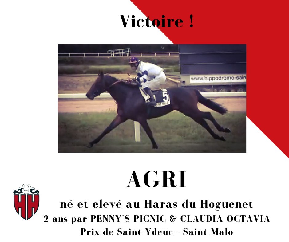 harasduhoguenet's tweet photo. 💥🥇💥 AGRI broke his maiden for his second start 🎆 🎆 @PennysPicnic again today ‼️Co bred with @carolineklus @tdelegue @PhilippeRipert trained by @PDecouz owned by @RENTAHORSE and ridden by @RosarioMangion2 🇮🇹 Congrats to all 🥕 🍾 🥕 https://t.co/4wU8KBXqsZ