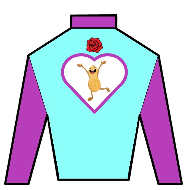 HandicappingT3's tweet photo. Promised my 6yo daughter I would give her some special time tonight. Asked her what she wanted to do and she said "#Handicap #horseracing and go to @CanterburyPark." Doing it right!

#PeanutsPicks will be out live tonight...until her bedtime or maybe a couple races after that. https://t.co/NfOVOilOg6