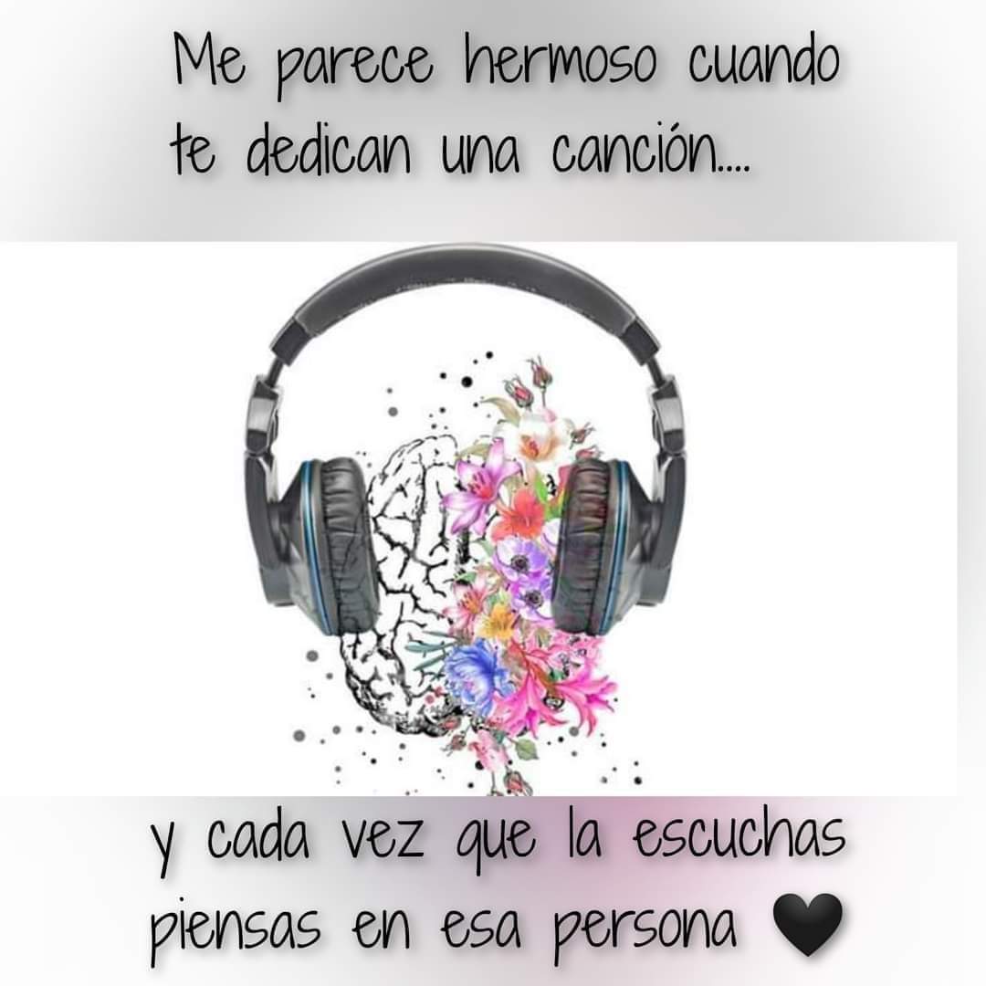 Excelente día