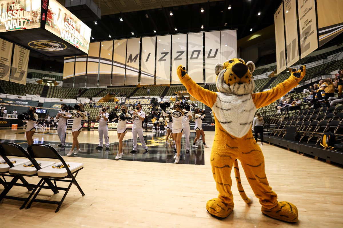 Mizzou Volleyball tweet media