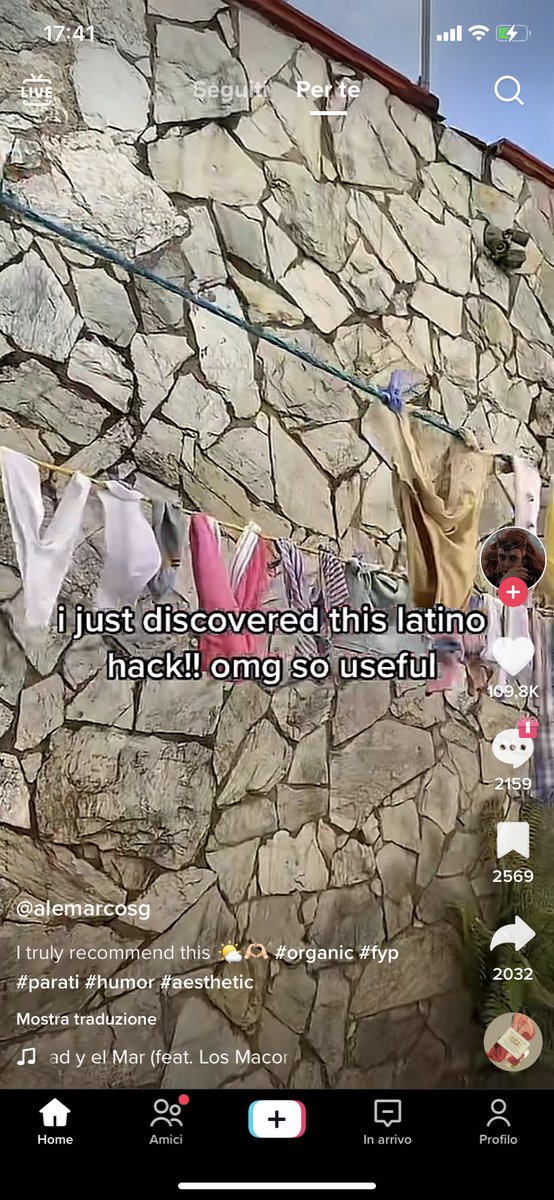 stoopidcheerio's tweet photo. Organic way to dry your clothes ma nel mondo nessuno stende i panni? https://t.co/11qFxVo26i