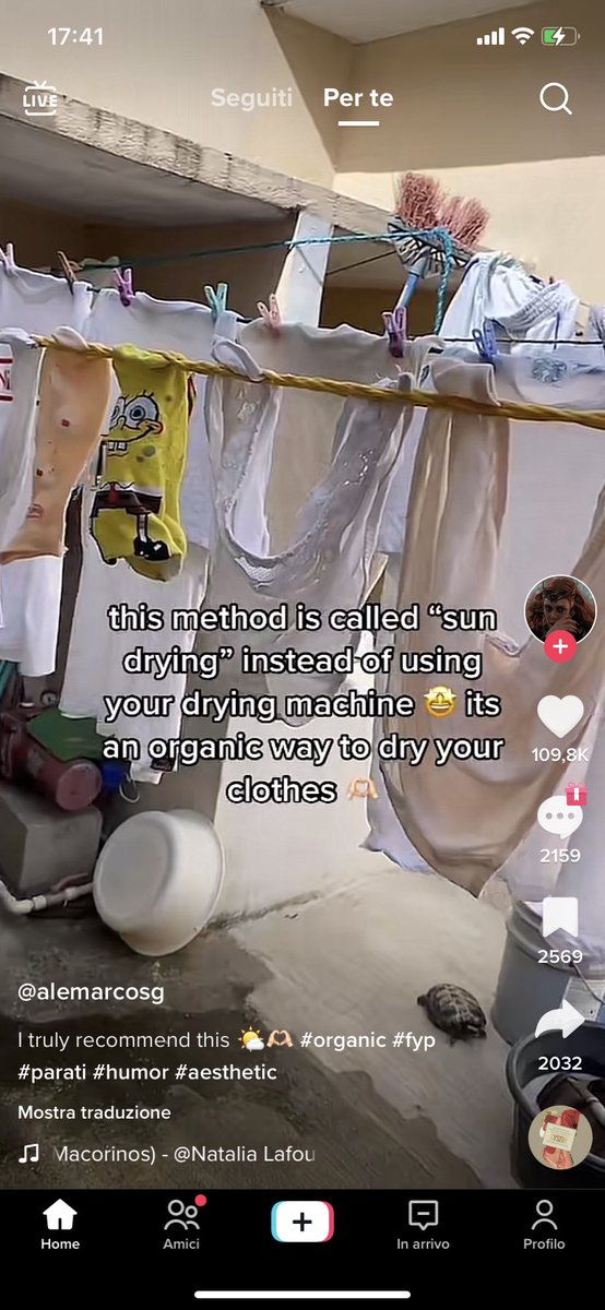 stoopidcheerio's tweet photo. Organic way to dry your clothes ma nel mondo nessuno stende i panni? https://t.co/11qFxVo26i