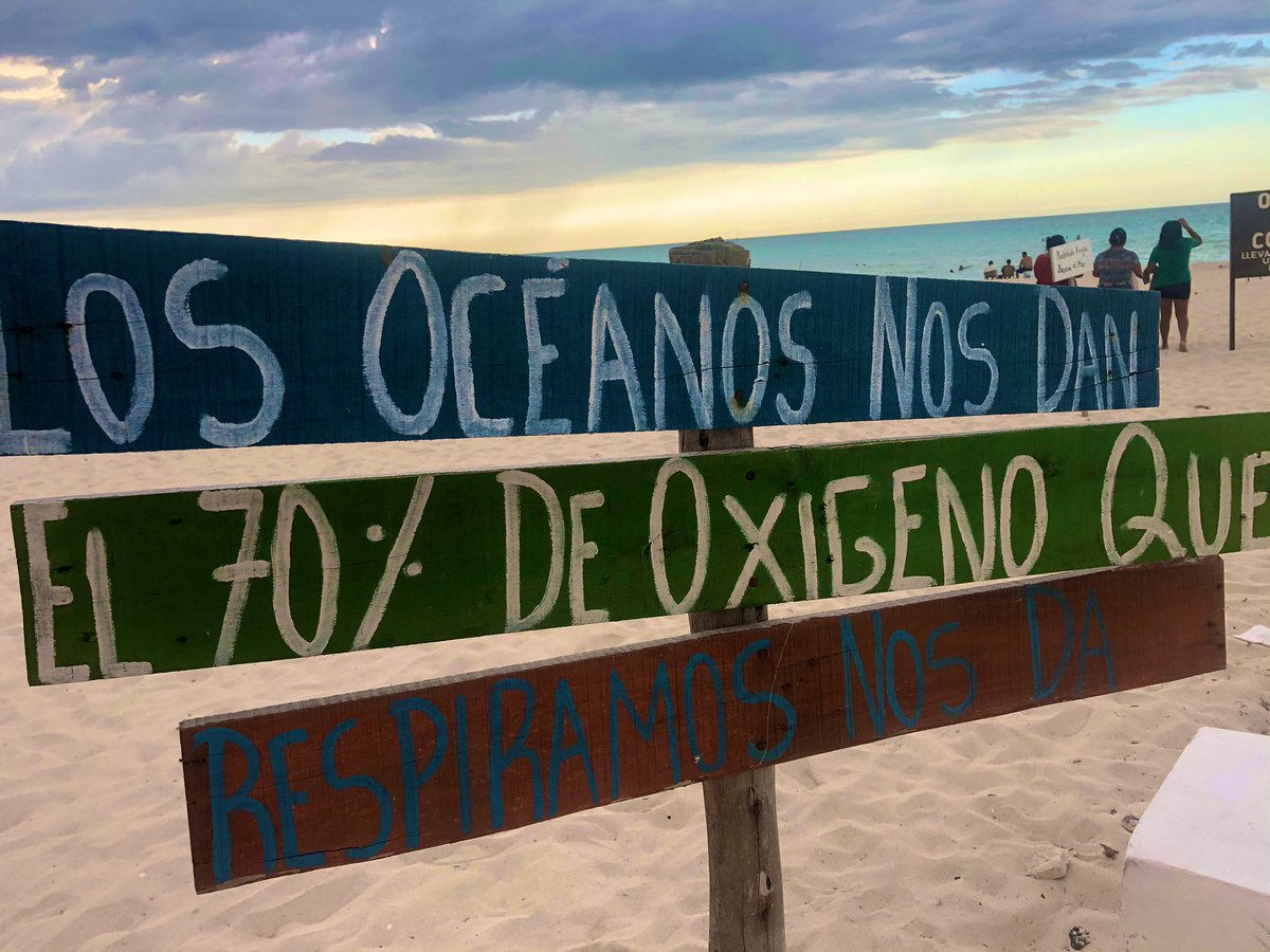 Hay que cuidar la naturaleza 🙏✨<a href="/oceanosmx/">Océanos México</a> <a href="/YoPorLosOceanos/">#YoPorLosOcéanos</a> <a href="/oceanosanos/">OceanoSanos</a>