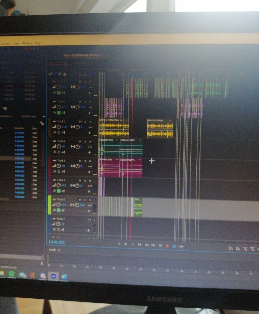 Maxim van Mil tweet media