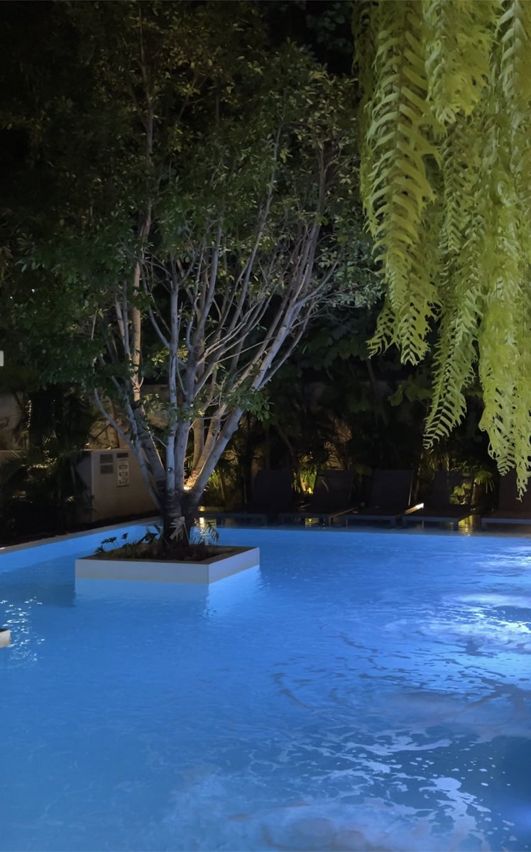 เชียงใหม่ green season กับโรงแรมที่ไปพักกี่ครั้งก็รู้สึกสบาย พอร์ ดาวดึงส์กับราคา พันต้นๆ สระว่ายน้ำสวย เครื่องนอนสบายมากๆ แล้วก็ทีวีในห้องจอใหญ่มาก ทั้ง youtube / netflix สบายๆเลย ฝนตกก็นอนอยู่ห้องสั่งของเข้ามากิน เชียงใหม่แบบสบาย ต่อนยอนและใจเย็น 🤍🌳 #รีวิวเชียงใหม่ #เชียงใหม่