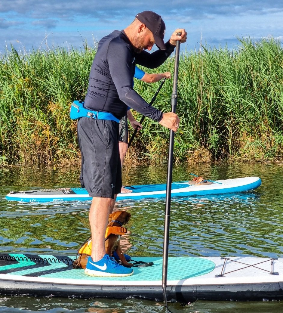 Twitchin2's tweet image. SUP PUP 🐶🌊 #suppup #supdogs #paddleboarding #adventures