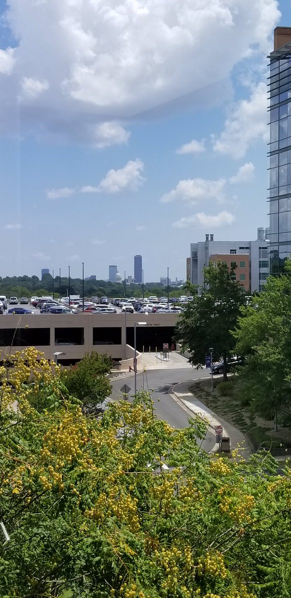 HamiltonPolyLab's tweet image. Josie had an awesome view of the Arkansas state capital during her poster session at the UAMS Undergraduate Summer Research Symposium!