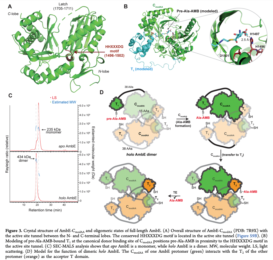Enzyme Chemistry tweet media