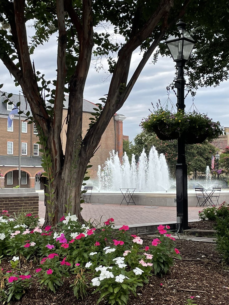 Lovely summer blooms around Old Town Alexandria today made running errands much more charming!

#summerdays #extraordinaryalx #summerflowers #marketsquare #summercolors #alexandriava #afternoonwalk #thinkpink #oldtownalexandria #cloudysky