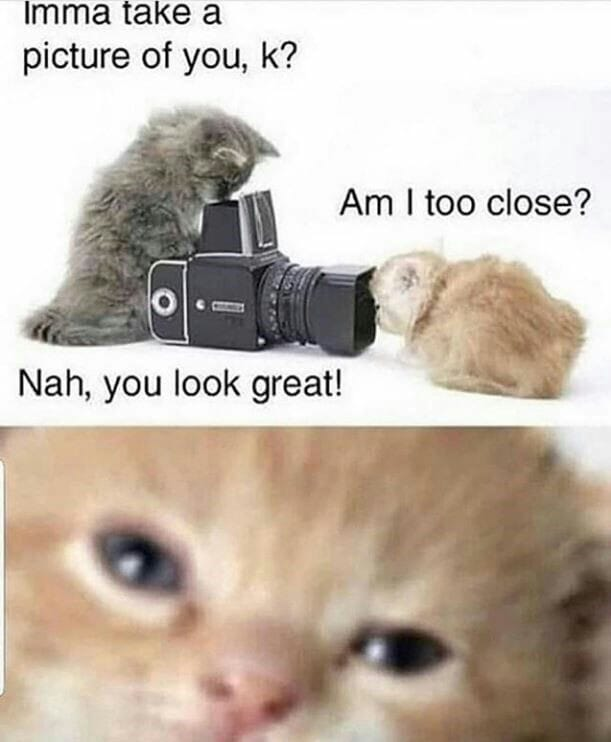 WholesomeMeme's tweet photo. https://t.co/a45SV78WJz