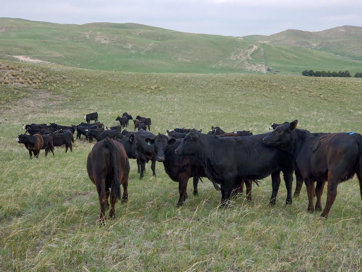 I still want to own my own ranch.