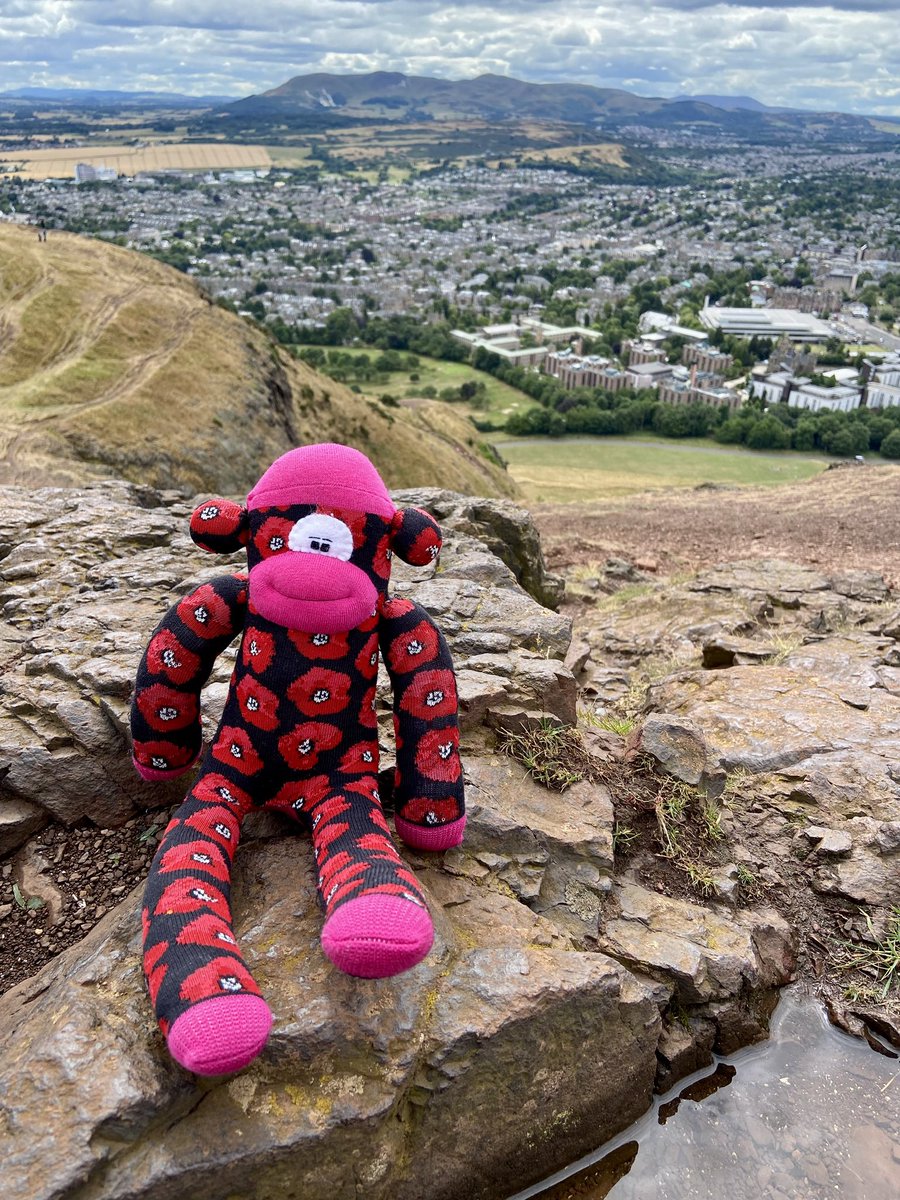 flanderss_poppy's tweet photo. @Missionmotorspt @StephJS #monkeymassive #arthursseat #Edinburgh #summerwalks long walk to the top of Arthur’s Seat yesterday but we’ll worth the views when we got there…… https://t.co/7Dyc7kQLN6
