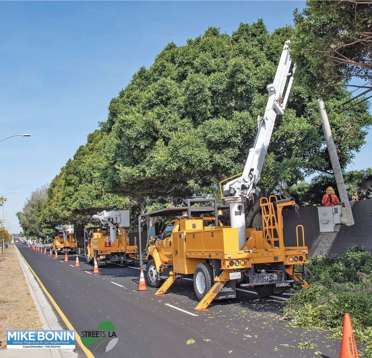 StreetLA’s Urban Forestry crews were busy trimming trees on Manchester Ave from Sepulveda Blvd to Emerson Ave in Westchester. Thank you @BSSLosAngeles for responding to tree emergencies in CD11 and throughout LA. If you see an LA City tree down, please report it by calling 311.