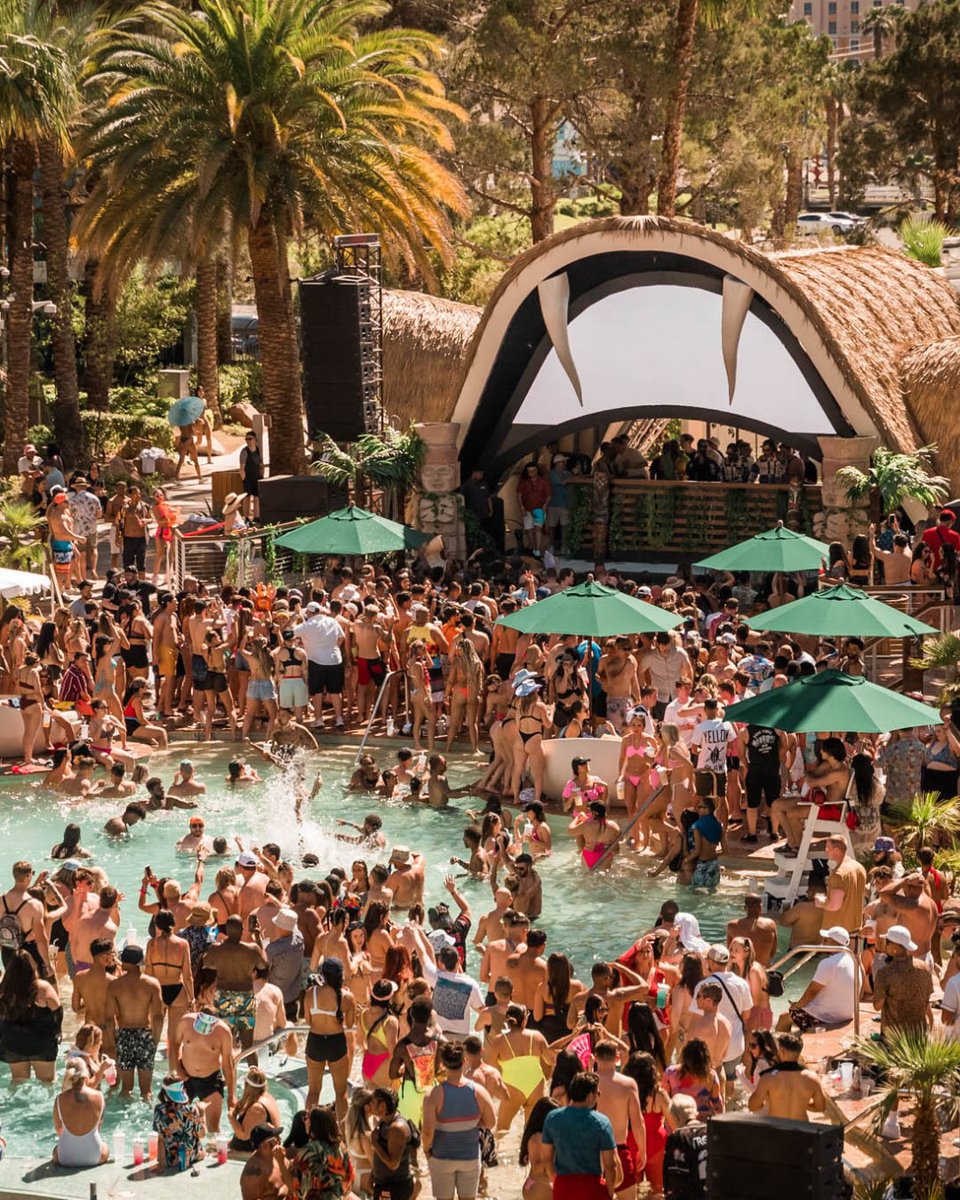 EliaBeachLV tweet media