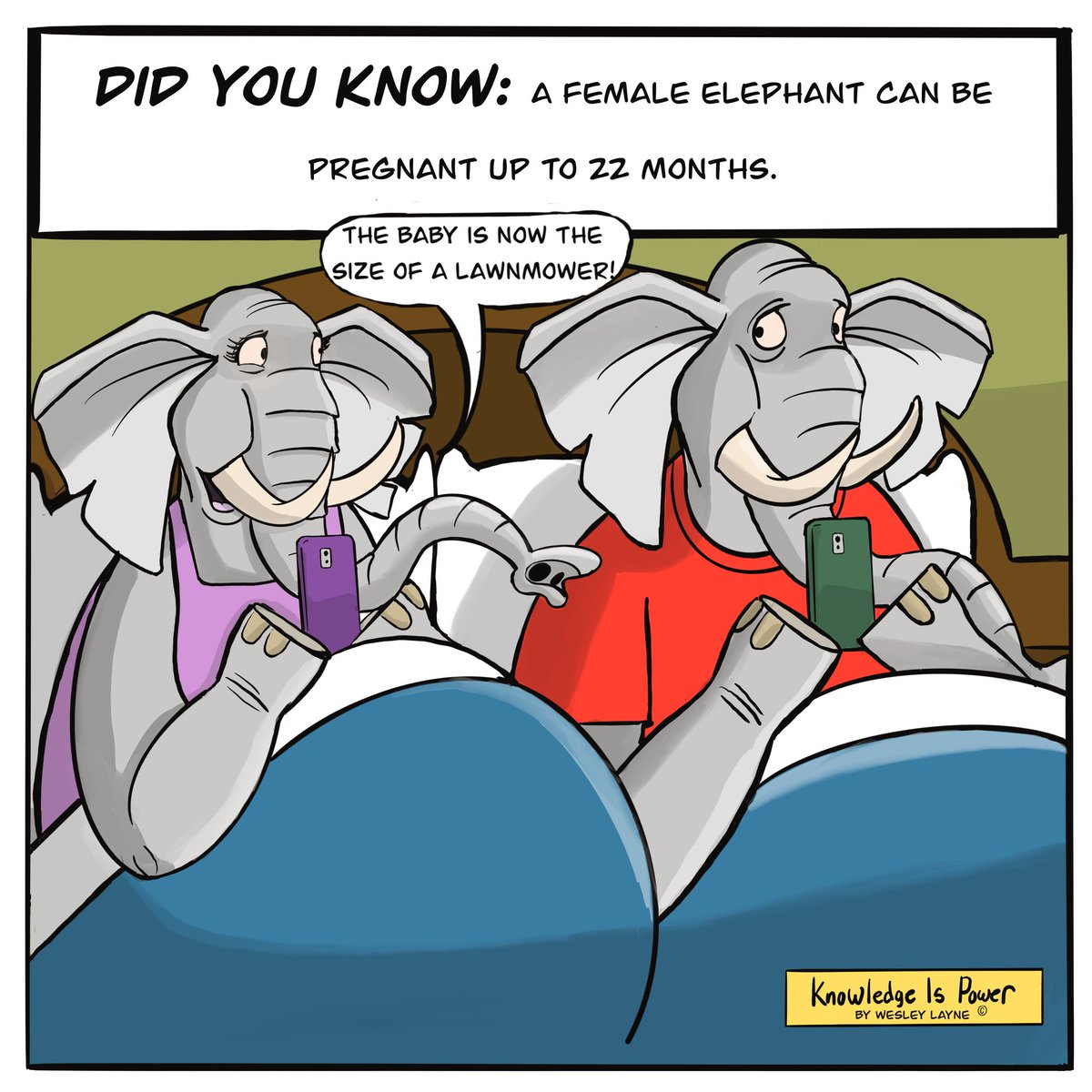 Knowledge Is Power Comic (@knowledge_comic) / Posts / X