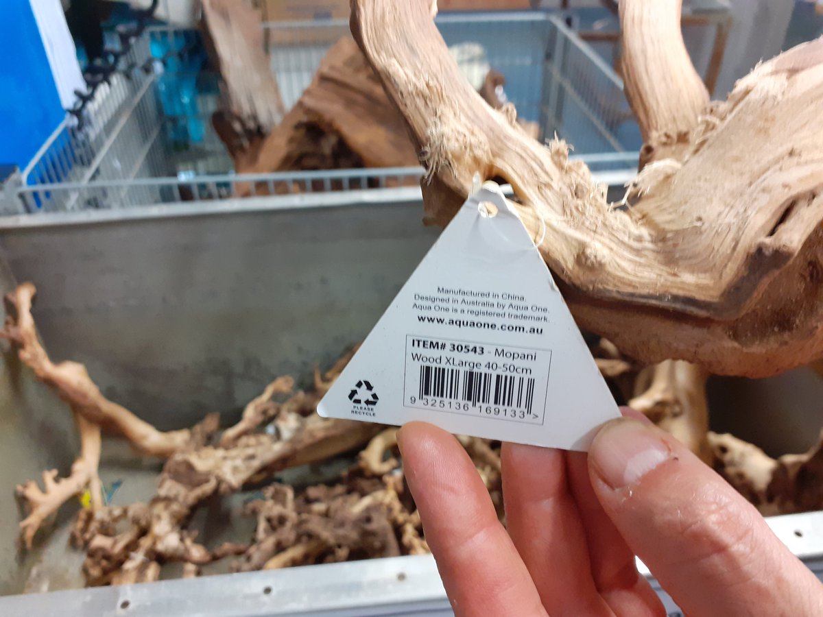 Mopane wood, which only grows in Africa, for sale (at a premium) in our local aquarium shop but it comes from China. How is that possible?