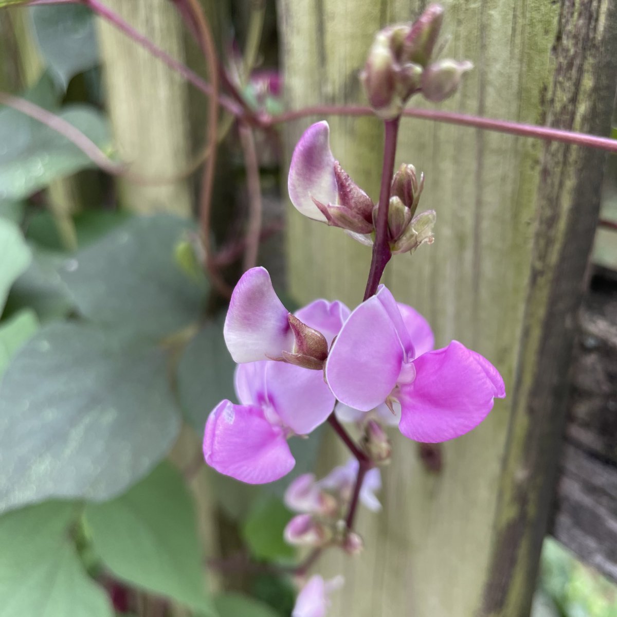 hatchdw's tweet photo. Have you taken a “Me Moment” today? https://t.co/EVDm0h2B12 #AfternoonWalk #MeMoment #SelfCare #FlowerBreath #NatureBINGO #Wellness #SocialEmotionalHealth #RainbowWalk #Reflection https://t.co/kOJ6SKZYJ3