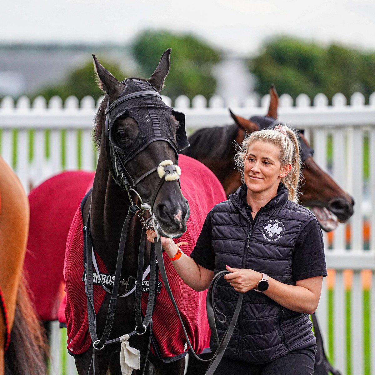 Great training performance by Shark to win the Galway Plate. Some buy for £800!! But a little mention for Darasso, who must be one of the toughest little horses in training. A credit to <a href="/JosephOBrien2/">Joseph O'Brien</a> and JP. And to <a href="/ashley_hussey89/">Ashley Jayne Hussey</a> who rides him everyday. Great ride by Luke also