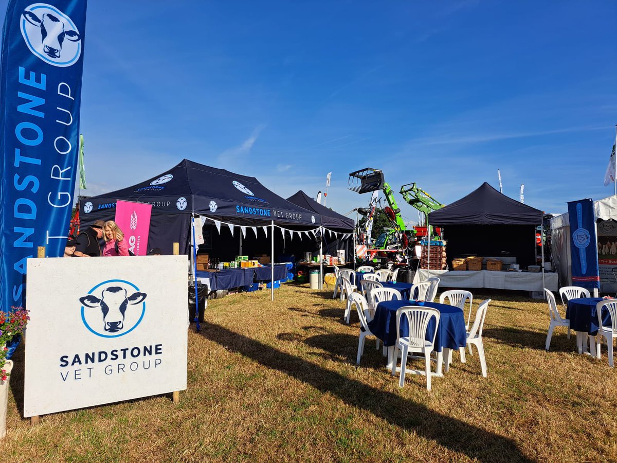 Sandstone Vet Group tweet media