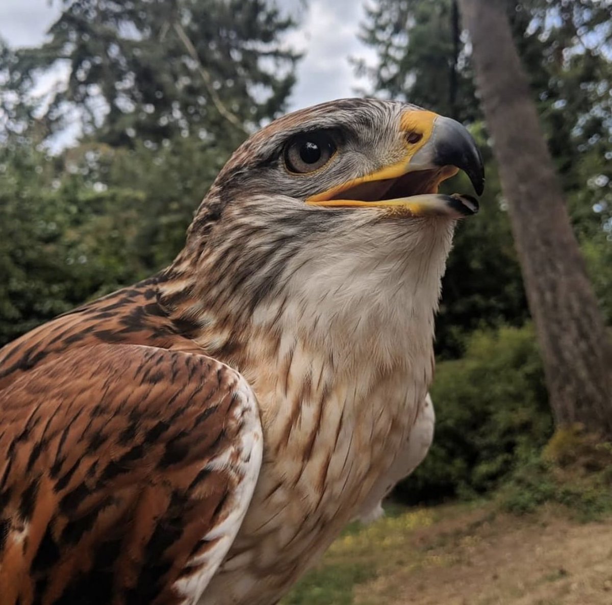 It's hot out there! 
If you're planning a trip to the centre, please make sure you're prepared for the weather! We strongly encourage everyone to wear a hat, sunscreen and to bring and drink lots of water!