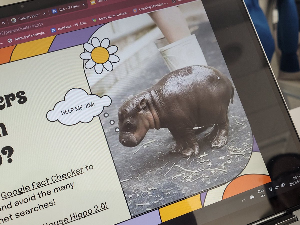 MacLeodMath's tweet image. Who knew a session about Google Tools would bring back everyones favorite House Hippo. Thanks @surfcatjim #ITCamp2022