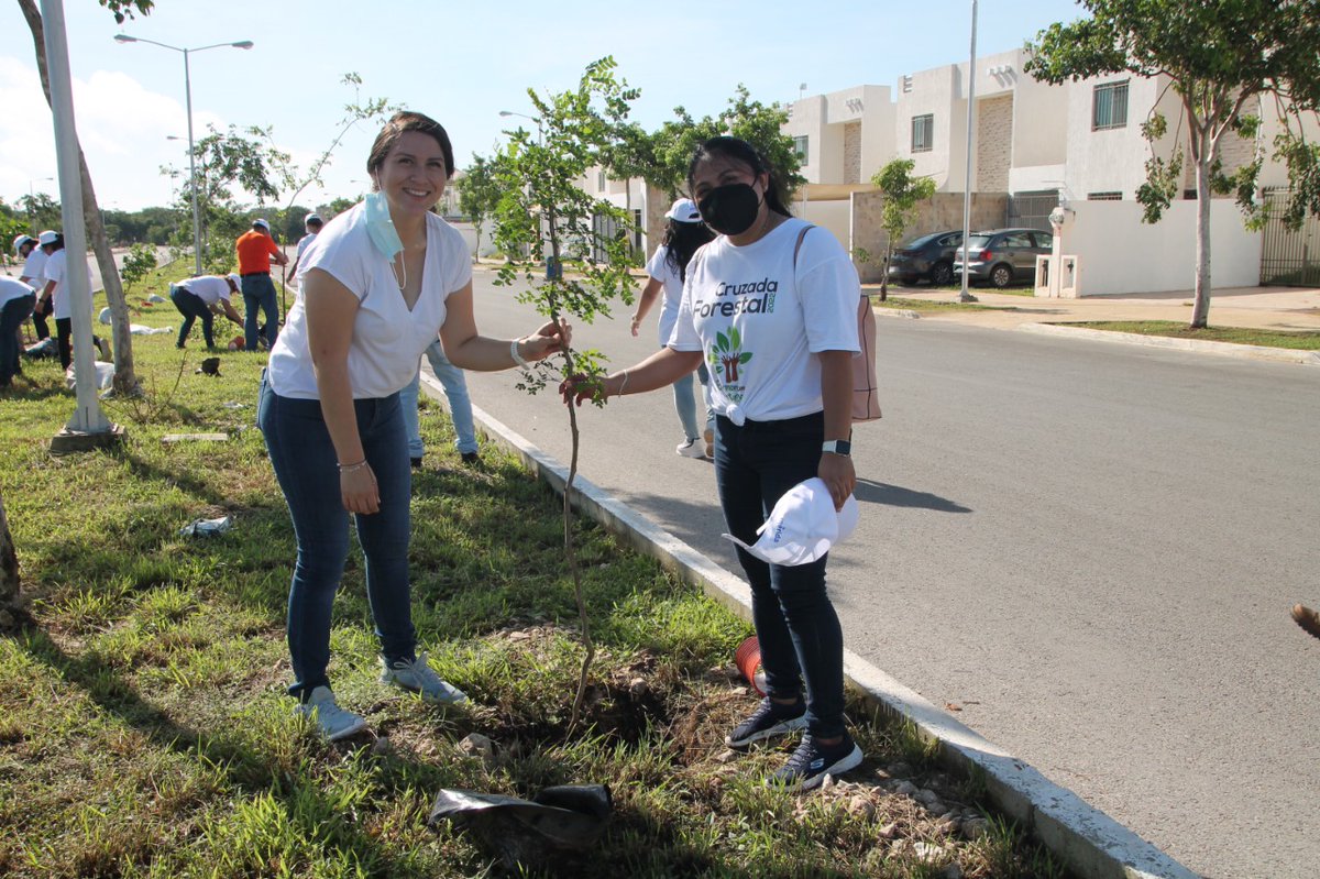 canacomerida tweet media