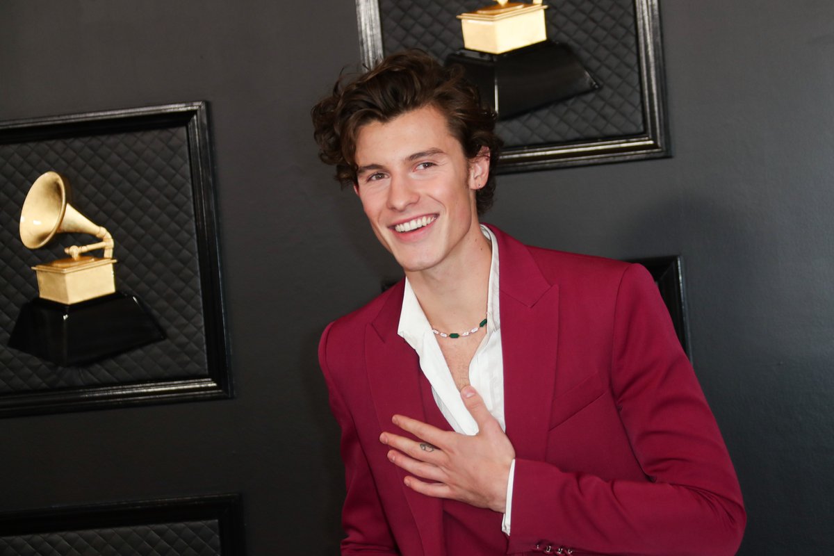 Shawn Mendes cancels his world tour ‘I have to put health as my first