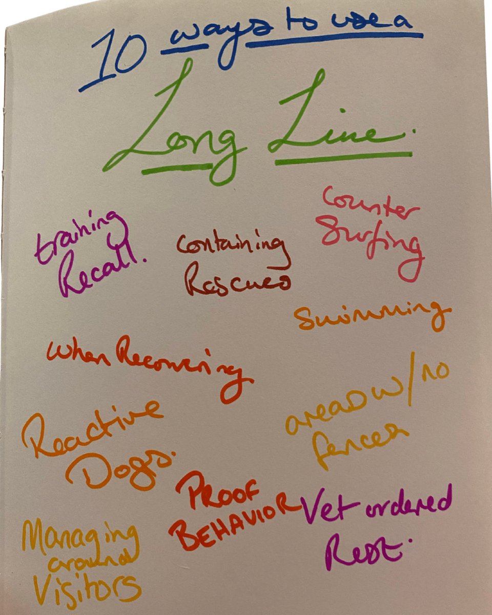 10 ways to use a long line? 

Heck yeah, from recall training to proofing behaviours, and recovering dogs! 

They’re super adaptable and useful pieces of training equipment.

Link in bio for more about longlines on the blog!