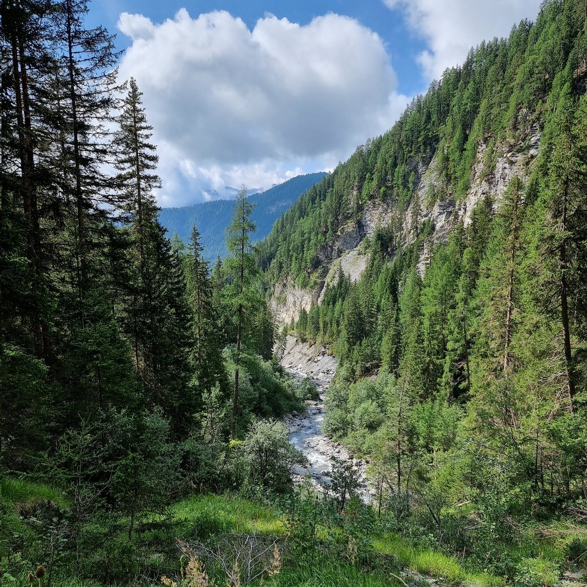silvano_moeckli's tweet photo. 2011 wurde das Val #Sinestra von der Stiftung Landschaftsschutz Schweiz zur «Landschaft des Jahres» gekürt. Zu Recht! https://t.co/9usGhAs6oJ